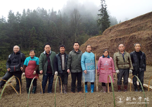 beat365高健强副教授研究成果“燕飞1号”土人参实现规模化生产