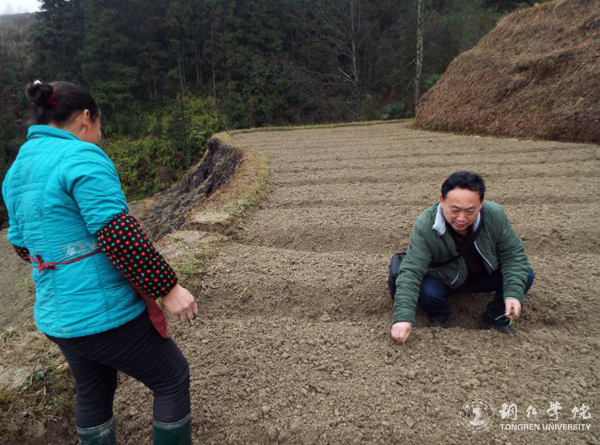 beat365高健强副教授研究成果“燕飞1号”土人参实现规模化生产