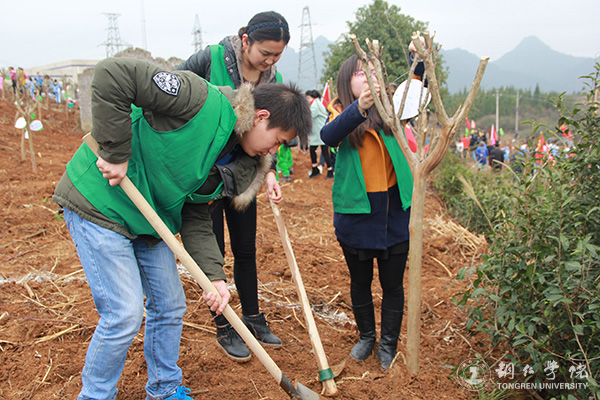 beat365积极参与铜仁市“共青林”植树活动