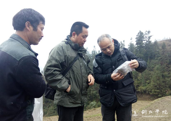 beat365高健强副教授研究成果“燕飞1号”土人参实现规模化生产