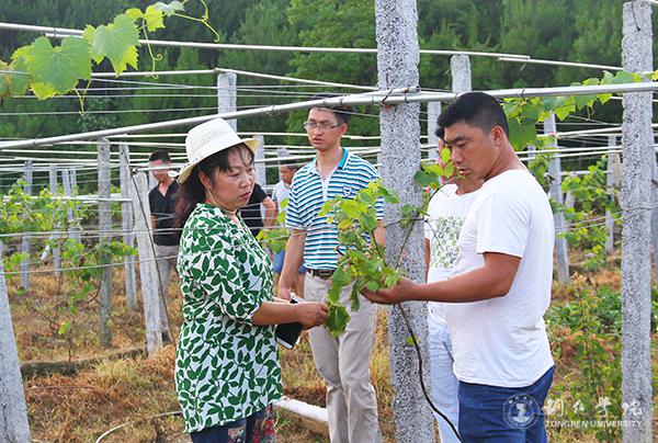 服务团指导村名管理葡萄.jpg