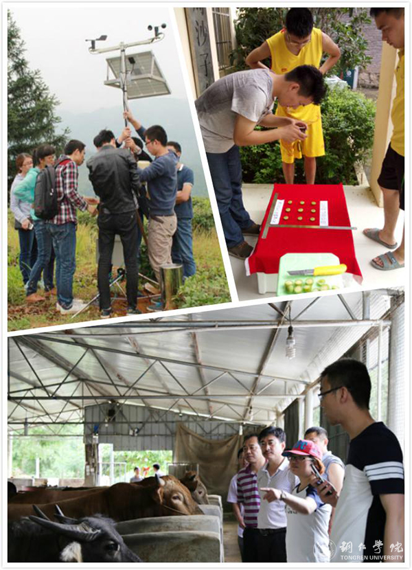 beat365英国官方网站2016年“十大热词”